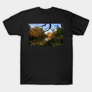 Wanstead Park T-Shirt